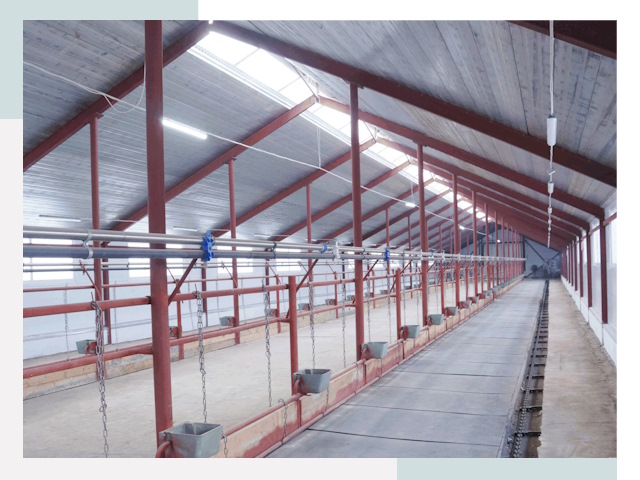 Строительство коровников в Когалыме от 620 руб.