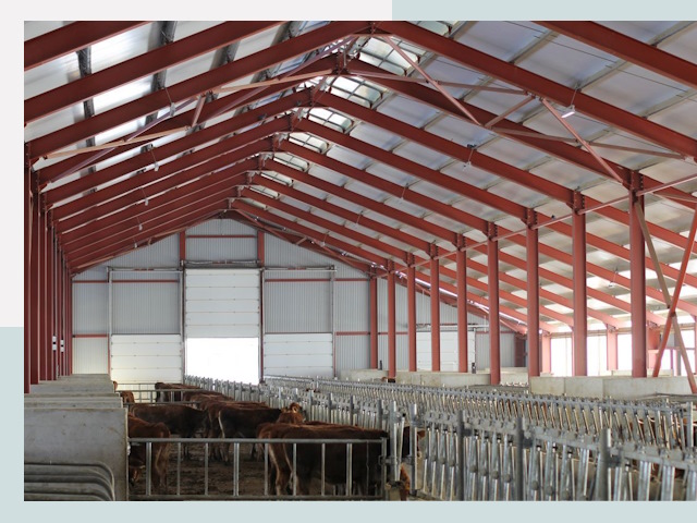 Строительство коровников в Когалыме