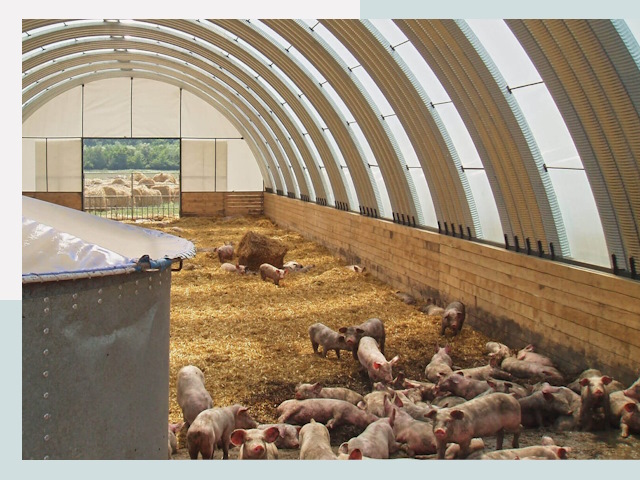 Строительство свинарников в Когалыме