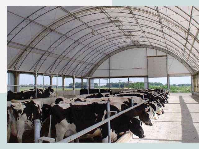 Тентовые коровники в Когалыме